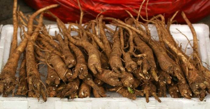 土壤水分速測(cè)儀