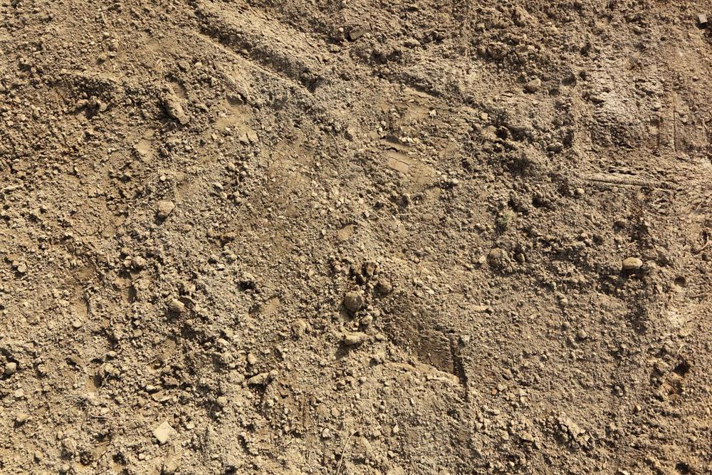 土壤水分速測(cè)儀