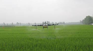 土壤水分測試儀